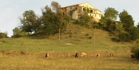 Benvinguts al Mas El Puig - Mas El Puig - Torelló (Osona)